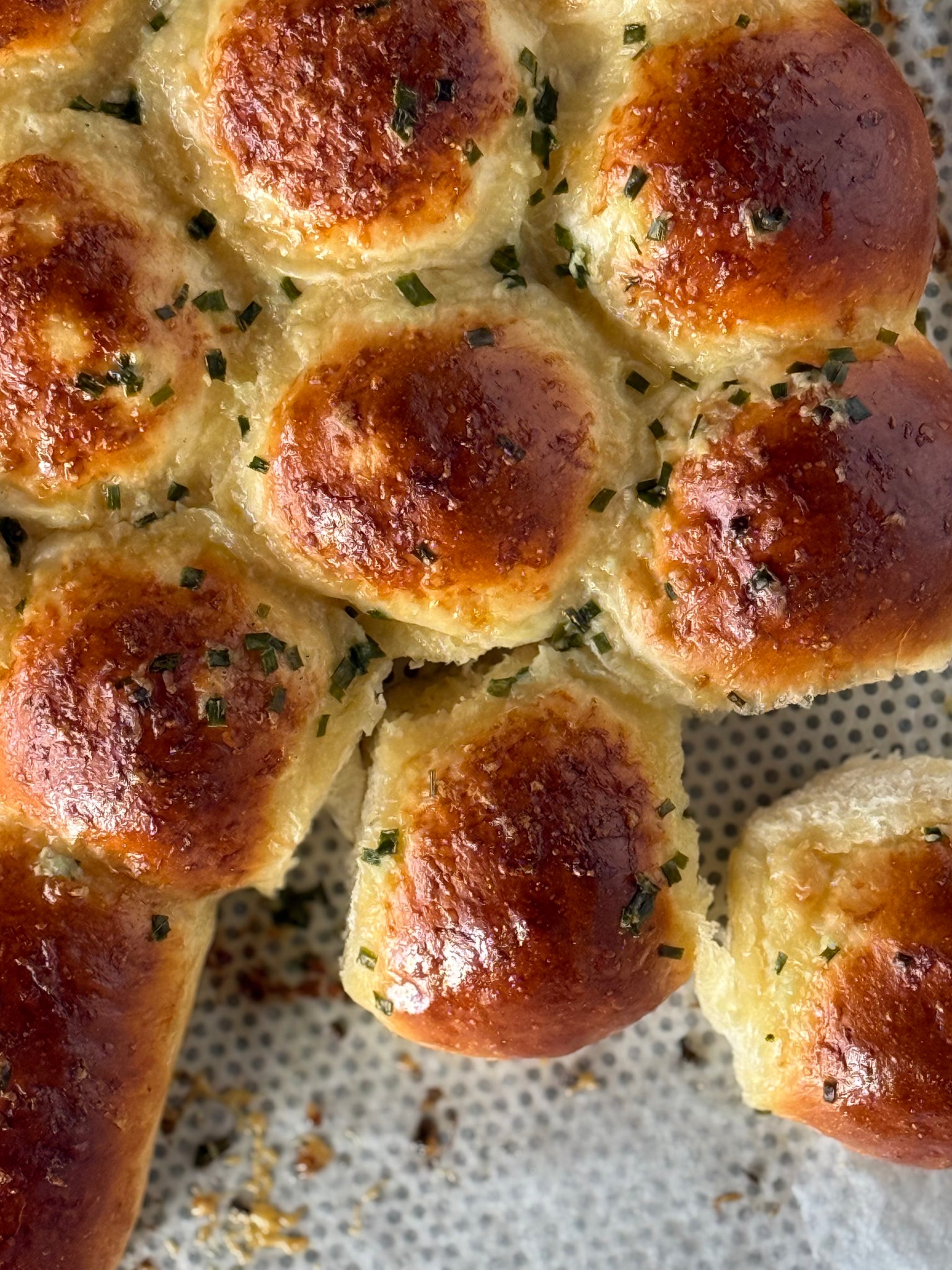 Kids Winter Camp 1-week