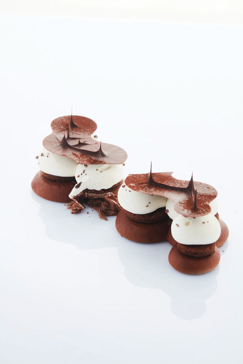 Delicate chocolate and cream dessert on a white background
